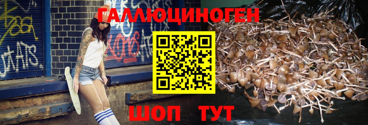 Галлюциногенные грибы мухоморы  Вход с VPN  Шали  Псилоцибиновые грибы мухоморы 